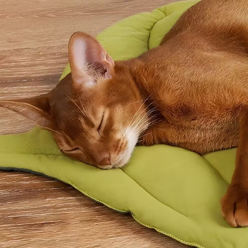 Reversible Soft Leaf Pet Cushi - Outdoor Camping Dog Bed recension och pris