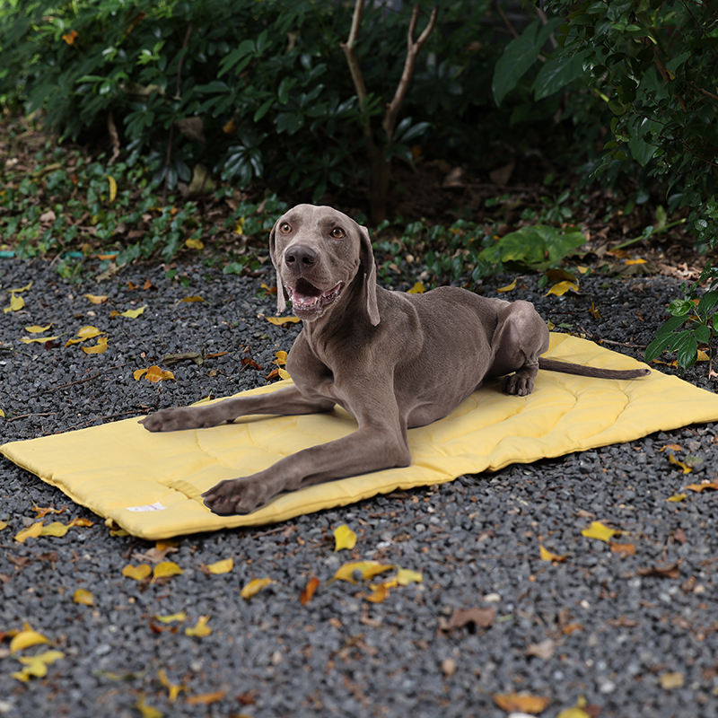 Portable Pet Mat Foldable Pet  - Outdoor Camping Dog Bed recension och pris