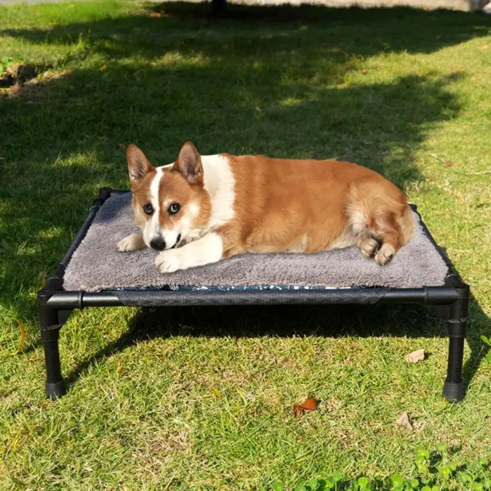 Outdoor Elevated Dog Bed, Fold - Outdoor Camping Dog Bed recension och pris