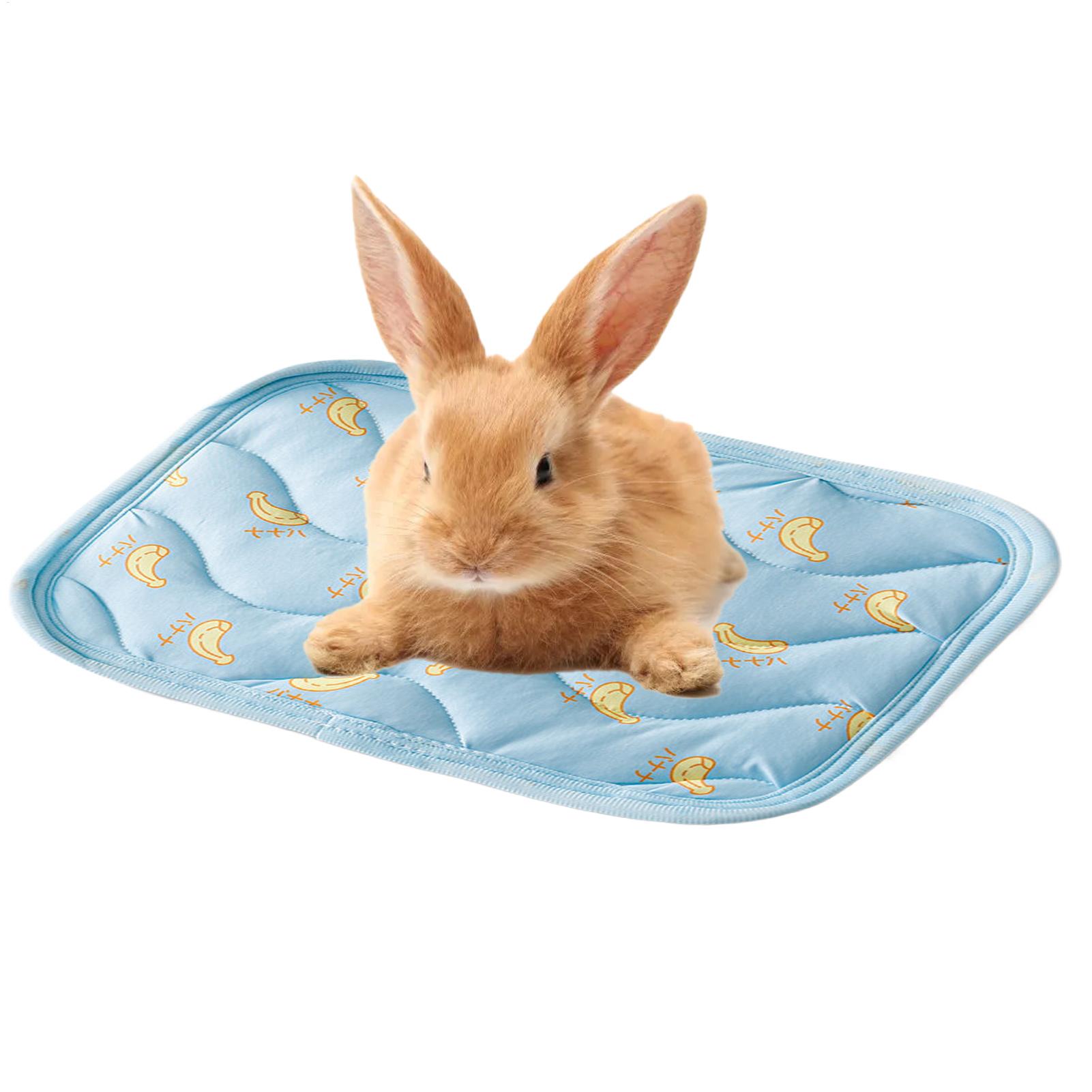 Portable Durable Pet Cooling M - Outdoor Camping Dog Bed recension och pris